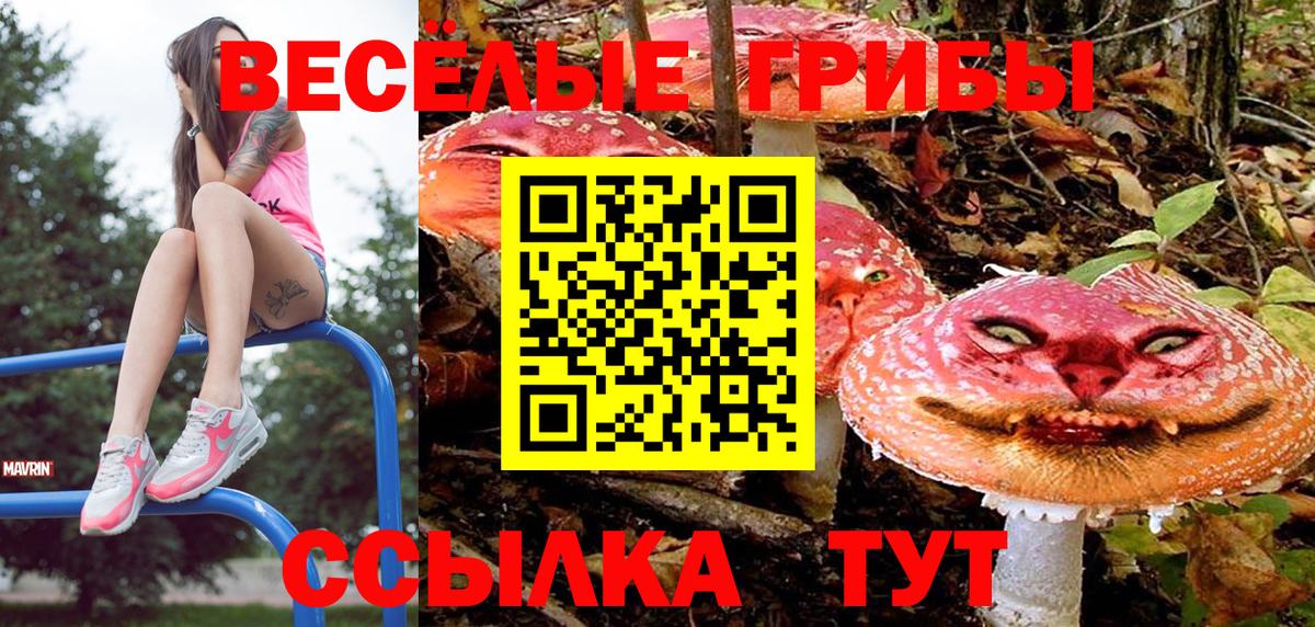 Галлюциногенные грибы GOLDEN TEACHER Мыски