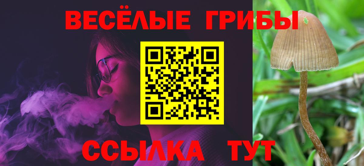Псилоцибиновые грибы мухоморы  Вход с VPN  Мыски 